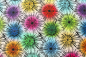 Preview: Designer- Baumwollstoff Bloom multicolor (10 cm)